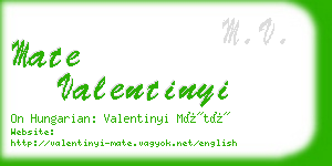 mate valentinyi business card